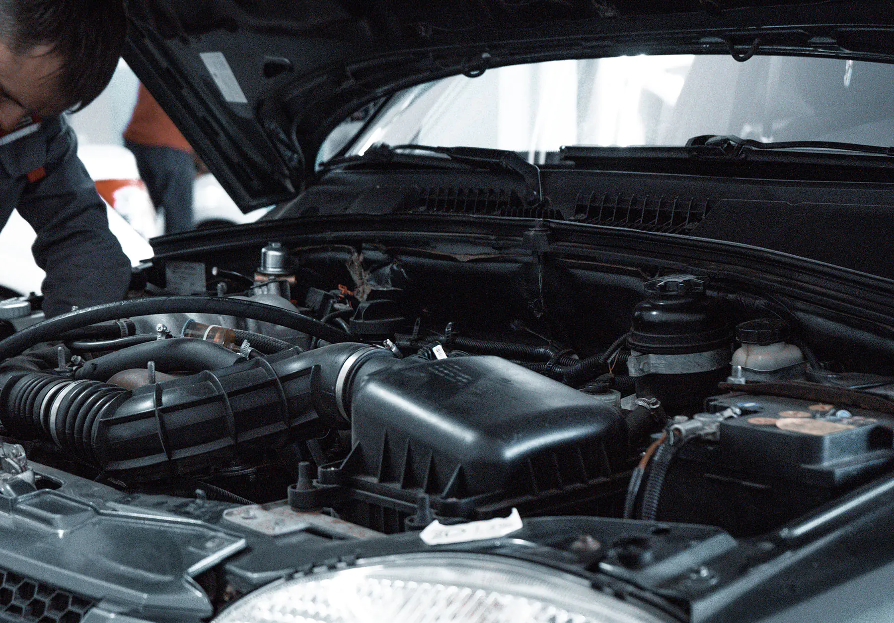 Bush for car servicing in Beverley