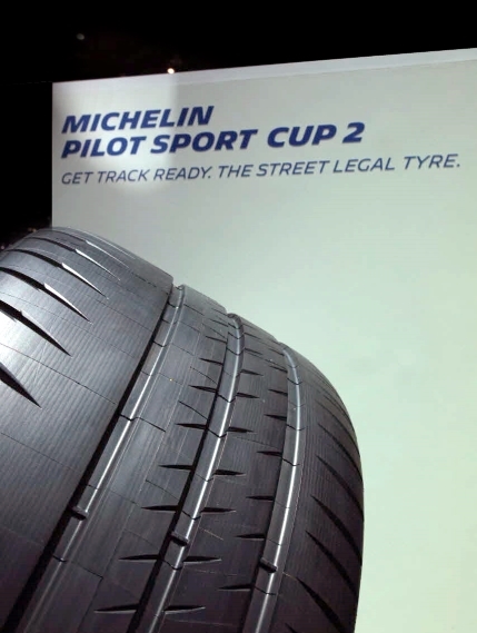 Michelin Pilot Sport Cup 2 | Bush Tyres
